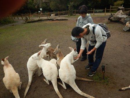 カバシャムワイルドライフパーク