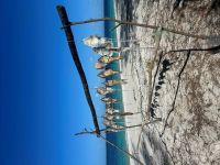 Ｋ様／ペンバ島ダイビング旅行