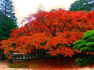 紅葉の雷山観音