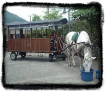 辻馬車