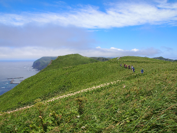 最北端の島へ 利尻島 礼文島の旅 にっぽんの島旅 東日本編 のオーダーメイド見積もり ウェブトラベル