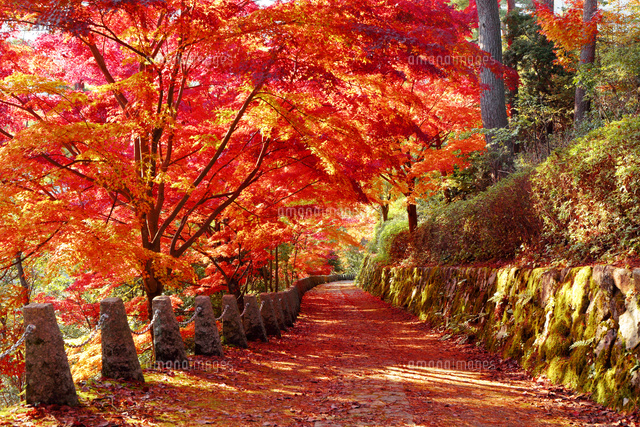 吉野山の紅葉 エリア別おすすめスポットと見どころ0